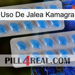 Kamagra Jelly Use 23